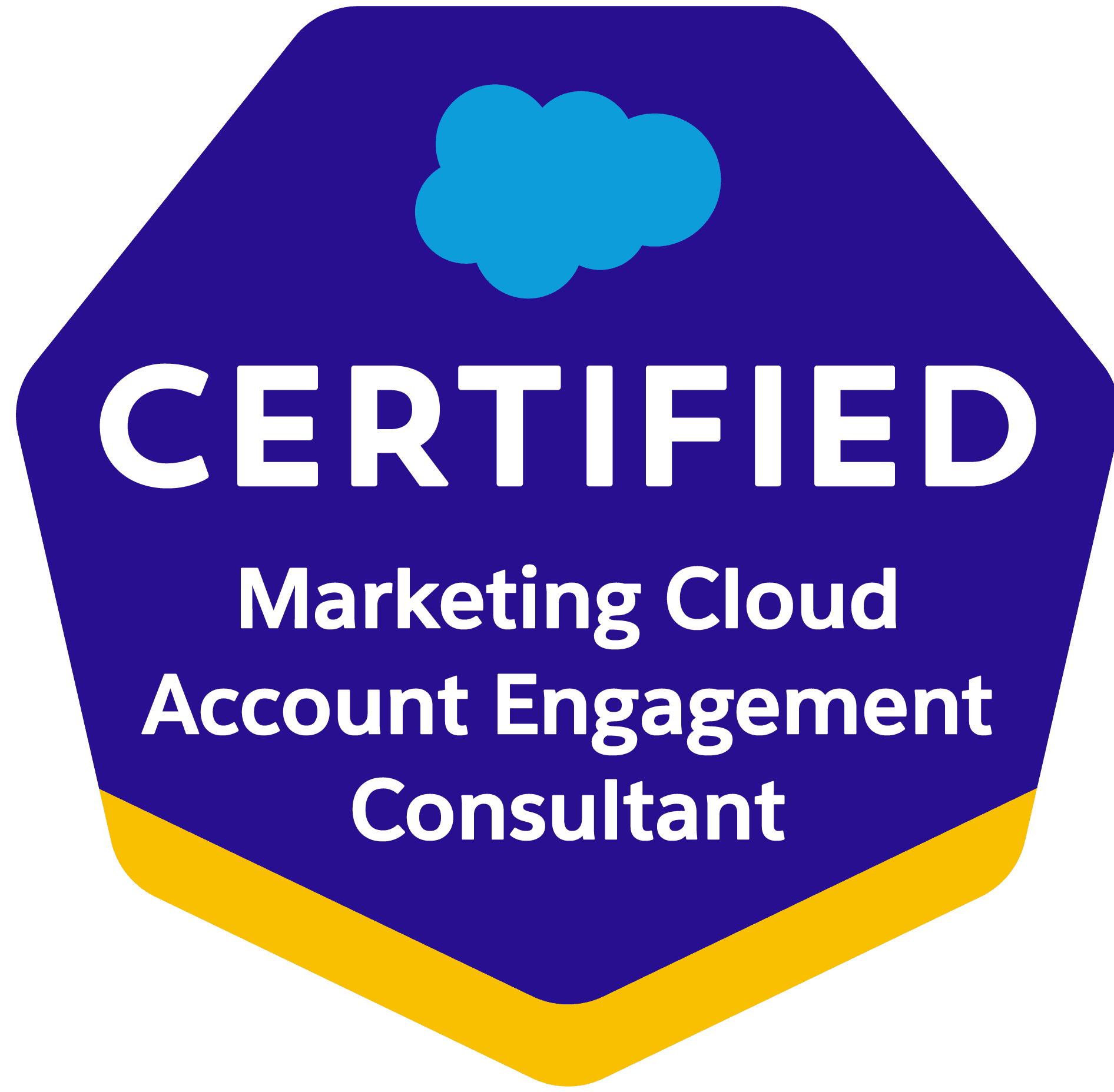 marketing-cloud-account-engagement-consultant.png